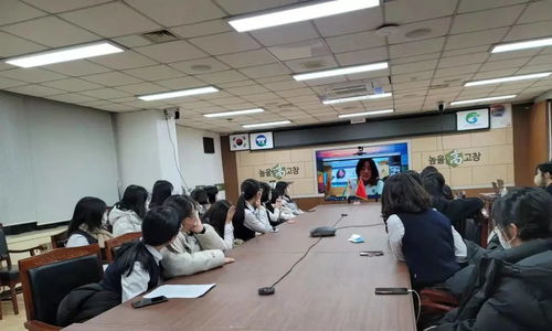 2021中韓學生線上文化交流活動在棗莊市實驗學校成功舉辦市場營銷策劃方案