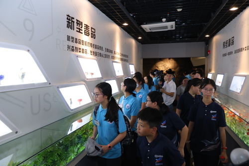 粵港澳大灣區(qū)禁毒文化交流活動在深圳舉行，以文化藝術助力禁毒宣傳