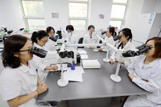 細致入微，見微知著——走進中國醫學科學院血液學研究所血液病理診斷中心